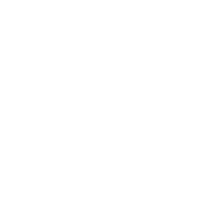 CONSULENZA DOGANALE